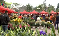 Rộn ràng lễ hội Hoa xuân Hoành Bồ, Quảng Ninh