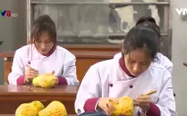 Mô hình liên kết đào tạo doanh nghiệp và nhà trường ở Huế