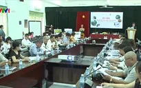 Giải pháp bảo tồn và phát triển bền vững Sơn Trà