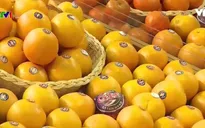 Hội chợ thực phẩm Moscow thời cấm vận