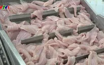 Hội chợ cá tra và sản phẩm thủy sản Việt Nam diễn ra từ ngày 6 - 8/10