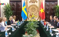 Phó Thủ tướng hội đàm với Bộ trưởng Bộ Ngoại giao Thụy Điển