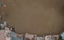 Hội nghị "Phát triển bền vững ĐBSCL thích ứng với biến đổi khí hậu"