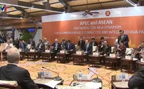 Từ Hội nghị Cấp cao APEC đến Hội nghị Cấp cao ASEAN