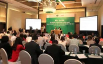 Mô hình quản lý vốn Nhà nước tại doanh nghiệp