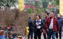 Rộn ràng chợ hoa Tết giữa lòng phố cổ Hà Nội