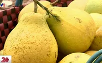 Xây dựng chợ đầu mối nông sản tại Hậu Giang