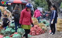 Hà Nội: Người dân chung tay mua nông sản sạch giúp bà con Hà Giang
