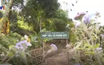 Hợp tác xã đoàn kết vùng biên
