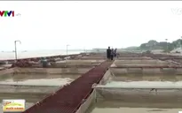 Hợp tác xã nuôi cá lồng giá trị kinh tế cao tại Bắc Ninh