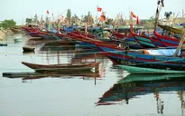 Thừa Thiên - Huế kêu gọi tàu thuyền vào bờ trú bão