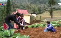 Giáo dục hướng nghiệp cho học sinh vùng cao