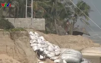 Yêu cầu xác minh vụ nghi trộm cát tại Cửa Đại