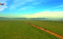 Khuyến nghị chính sách thúc đẩy nông nghiệp hữu cơ