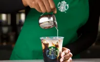 Starbucks sẽ thuê 10.000 người tị nạn