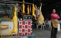 Tràn lan mua bán thịt thú rừng làm quà Tết