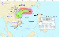 Bão số 11 sẽ giảm cấp, di chuyển theo hướng Tây Tây Bắc