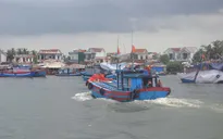 Điều tra hành vi tàu cá ngư dân ra nước ngoài khai thác hải sản trái phép
