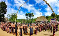 Người Cơ Tu với Festival di sản Quảng Nam