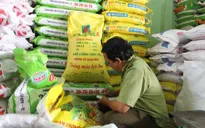 Nông dân Bình Thuận điêu đứng vì phân bón kém chất lượng