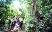 Công nhận Vườn Quốc gia Bái Tử Long là Vườn Di sản của ASEAN