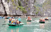 26.000 du khách đến Vịnh Hạ Long đầu năm mới