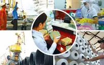 Hoàn thiện Đề án tái cơ cấu DNNN giai đoạn 2016 - 2020