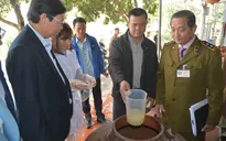Cảnh báo nguy cơ ngộ độc rượu gia tăng mùa lễ hội
