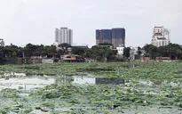 Hà Nội: Biệt thự, nhà hàng "mọc" trái phép ở hồ Đầm Trị
