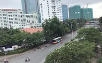Hà Nội trồng mới hơn 162.000 cây xanh