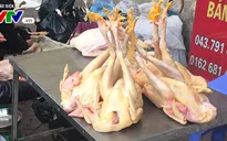 Hà Nội công bố đường dây nóng phòng chống dịch cúm A/H7N9