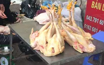 Người dân lo lắng dịch cúm A/H7N9: Những thực phẩm nào thay thế được thịt gà