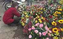 Giá hoa tươi tăng mạnh dịp mùng 8/3