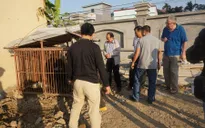 Liên tiếp phát hiện nhiều cá thể gấu bị nuôi nhốt trái phép