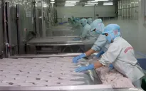 VN seafood has potential in China