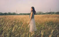 3 điểm chụp ảnh với cỏ lau đẹp mê hồn ở Hà Nội