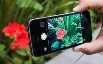 iPhone màn hình nhỏ đang chết dần: Steve Jobs đã sai!