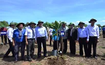Đại biểu Liên minh Nghị viện thế giới (IPU) khảo sát rừng ngập mặn Cần Giờ