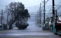 Sự tàn phá của bão Irma tại Puerto Rico