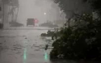 Bão Irma gây thiệt hại hàng trăm tỷ USD cho nước Mỹ