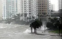 Siêu bão Irma đe dọa ngành du lịch của Florida
