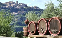 Du lịch rượu vang tại Italy