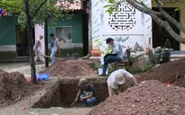 Đánh giá thăm dò khảo cổ tại Gò Dương Xuân