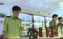 Khánh Hòa: Nhiều sai phạm tại các điểm kinh doanh phục vụ du khách