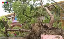 Hà Tĩnh khẩn trương khắc phục hậu quả bão số 2