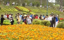 Nắng nóng, du khách đến Đà Lạt tăng mạnh