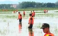 Khắc phục thiệt hại do mưa lớn tại Nghệ An