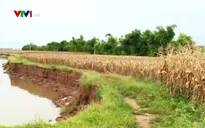 Hải Dương: Dân lập chốt, mua thuyền chống khai thác cát trái phép