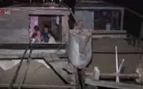 Bắt 3 thuyền khai thác cát trái phép trên sông Hương