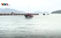 Khánh Hòa cấm hoạt động du lịch biển đảo trước bão